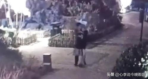 定州吃瓜爆料事件视频曝光,视频曝光事件真相揭秘